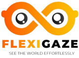 FlexiGaze